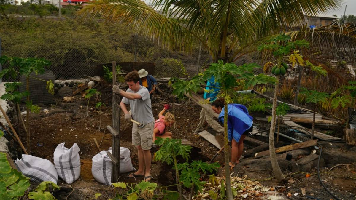 Urban Agriculture & Sustainable Farming Internship, Ecuador