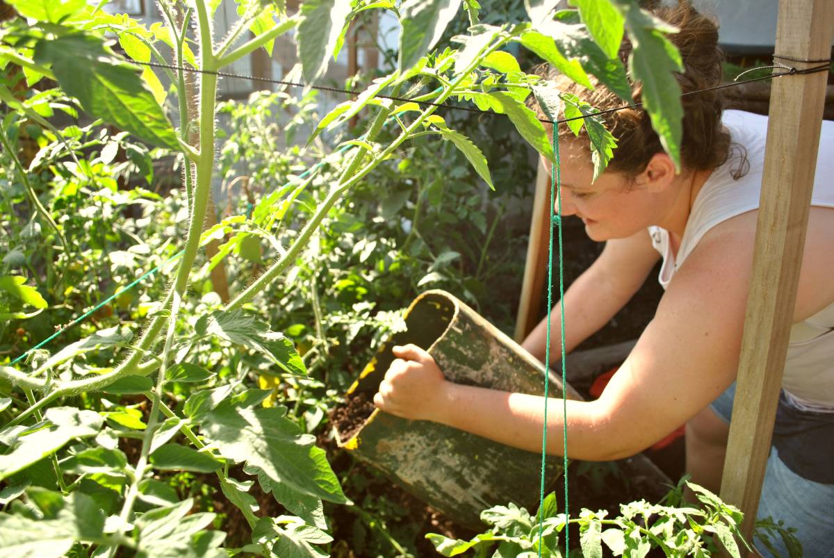 Urban Agriculture & Sustainable Farming Internship, Ecuador