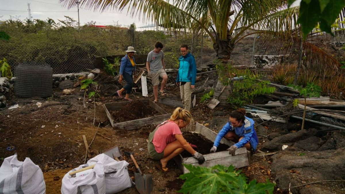 Urban Agriculture & Sustainable Farming Internship, Ecuador