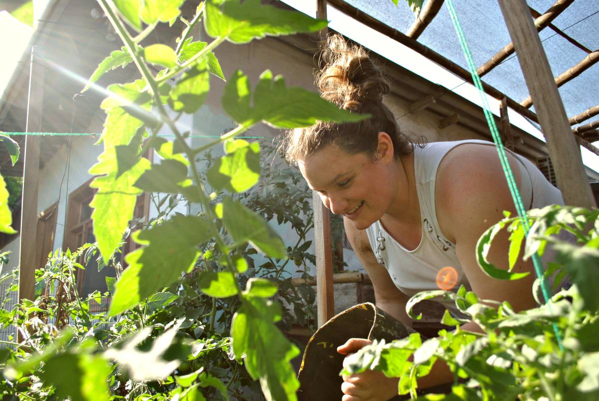 Urban Agriculture & Sustainable Farming Internship, Ecuador