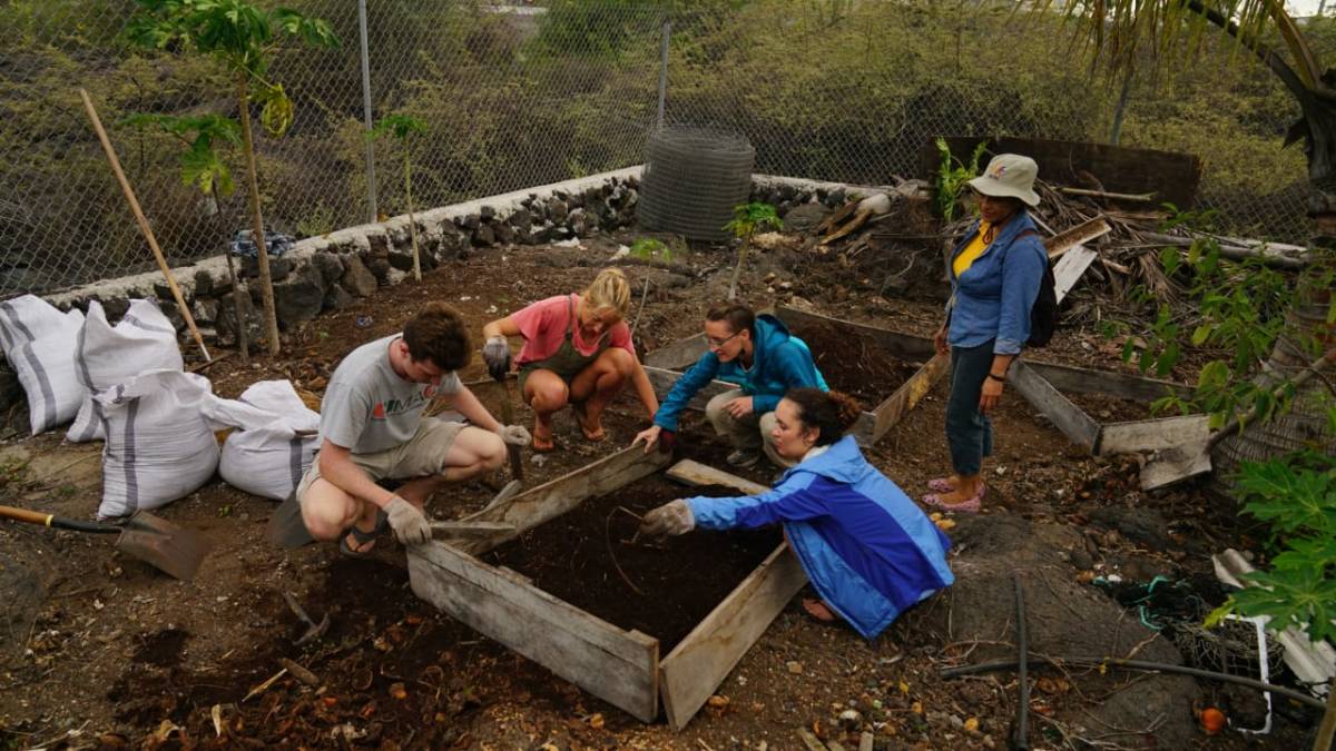 Urban Agriculture & Sustainable Farming Internship, Ecuador