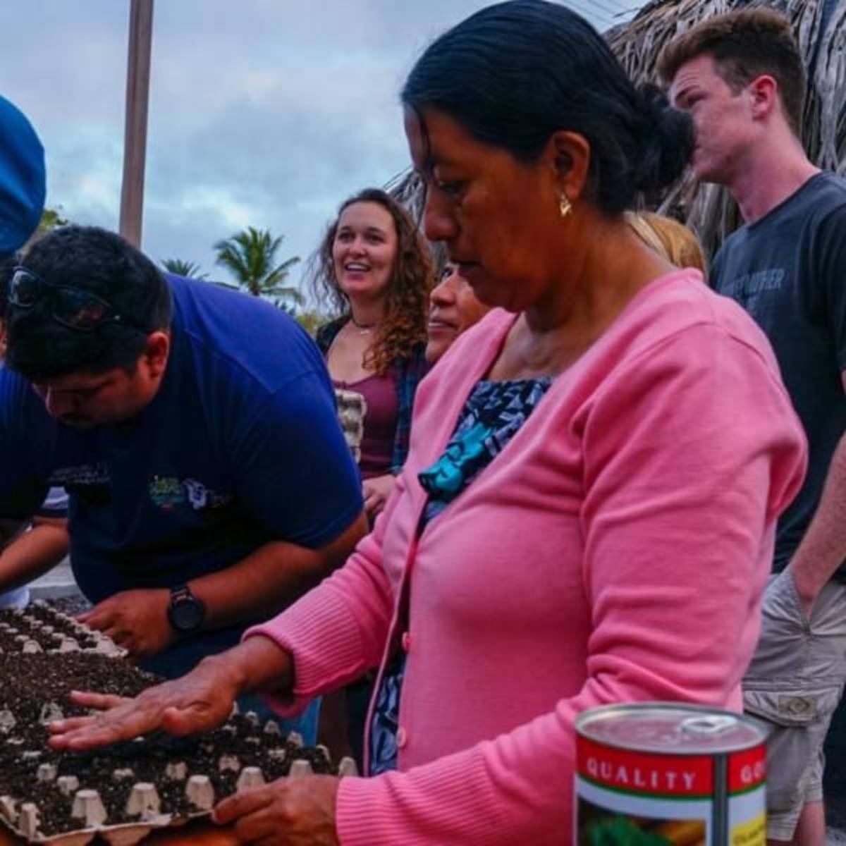 Sustainable Agriculture & Urban Farming