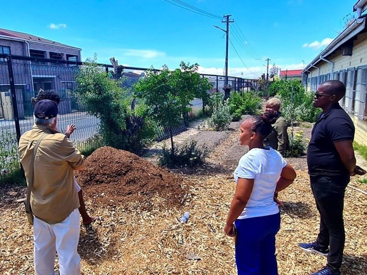 Urban Farming in Cape Town, South Africa
