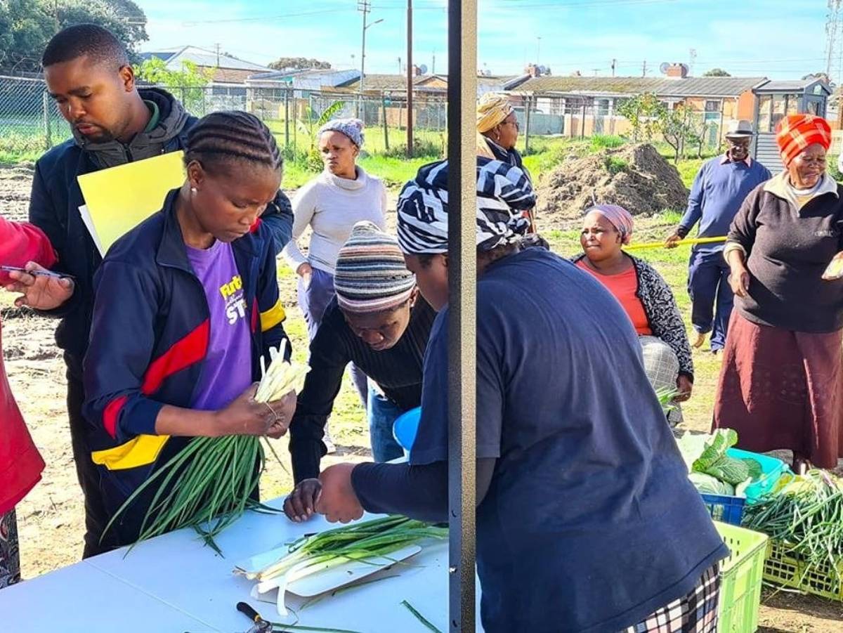 Urban Farming in Cape Town, South Africa