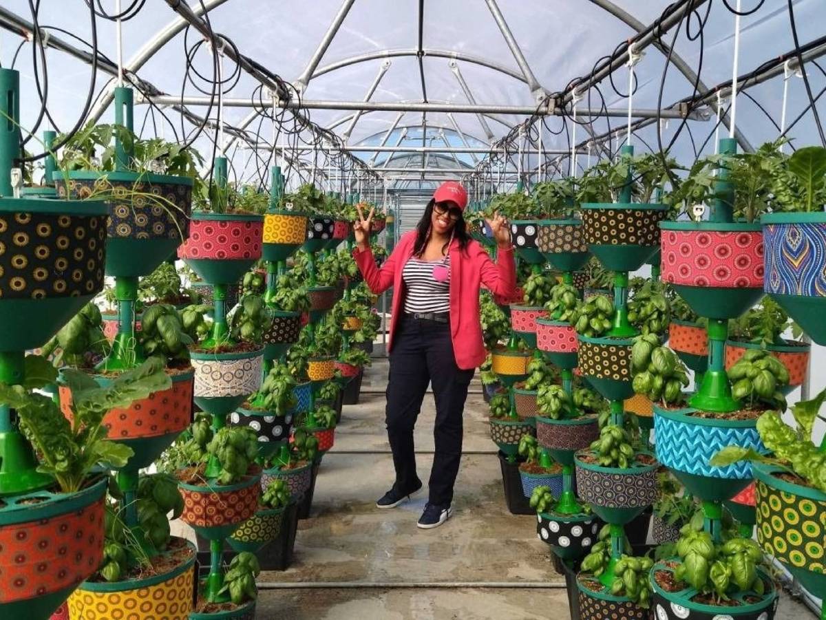 Urban Farming in Cape Town, South Africa