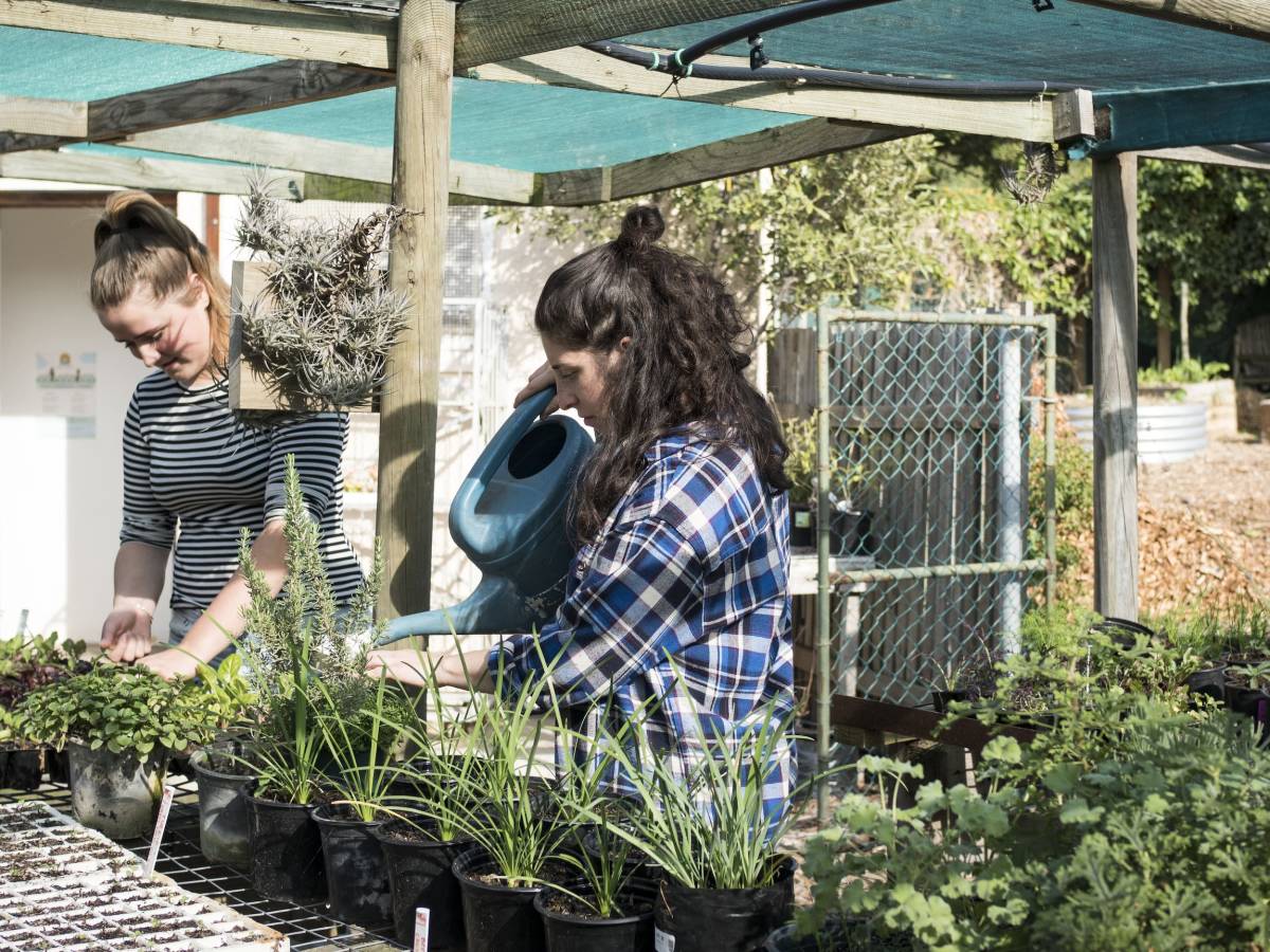 Urban Farming Internship in Cape Town, South Africa