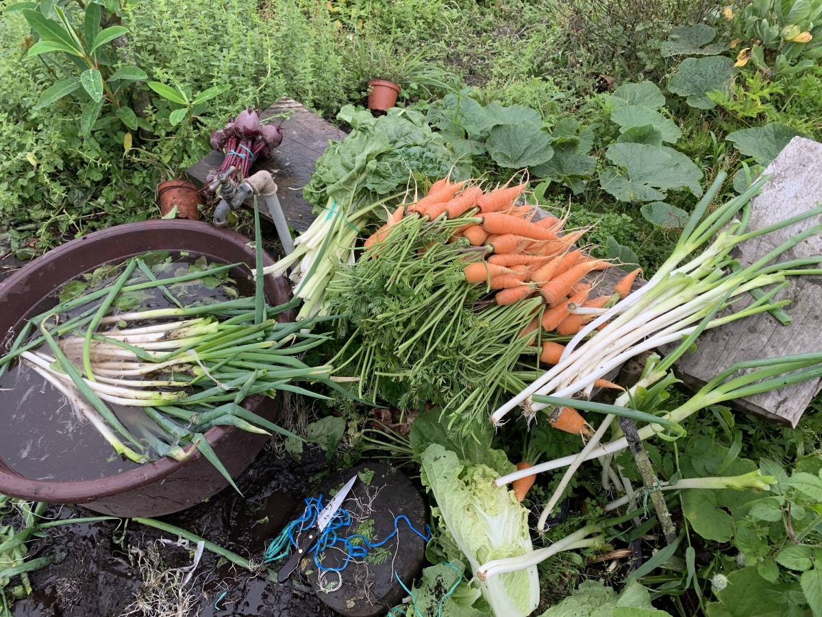 produce