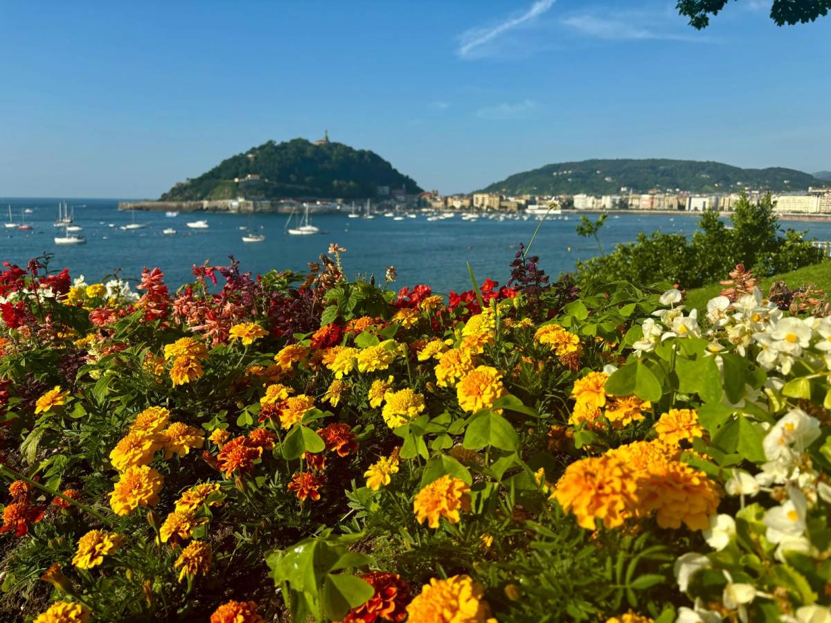 Vibrant flowers, San Sebastián bay, an RVF teaching abroad gem.
