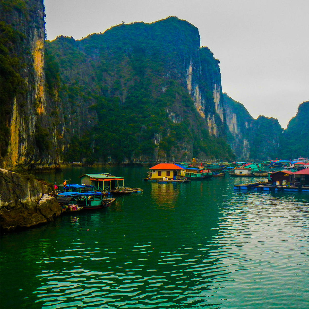 Semester at Sea - VietNam