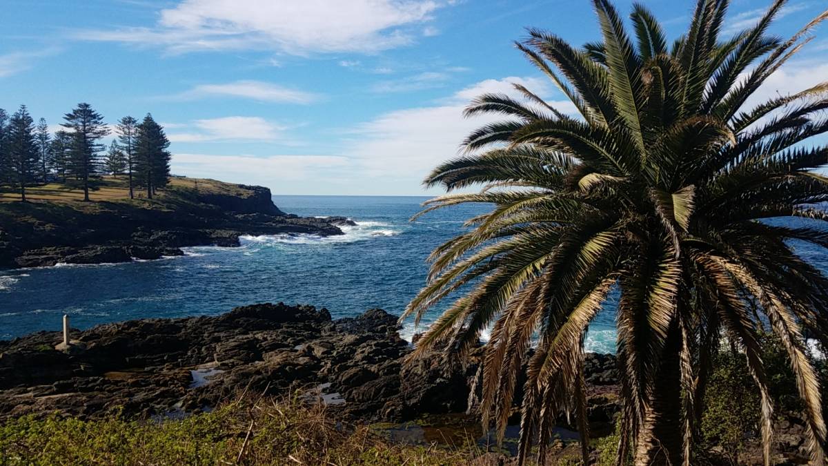 Virtual International Internships in Australia