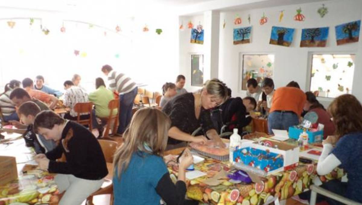 Volunteer activities - Special needs care - Transylvania - IVHQ