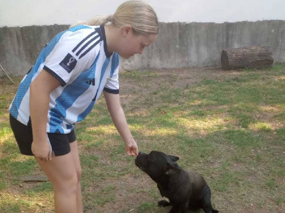 volunteer at a dog shelter