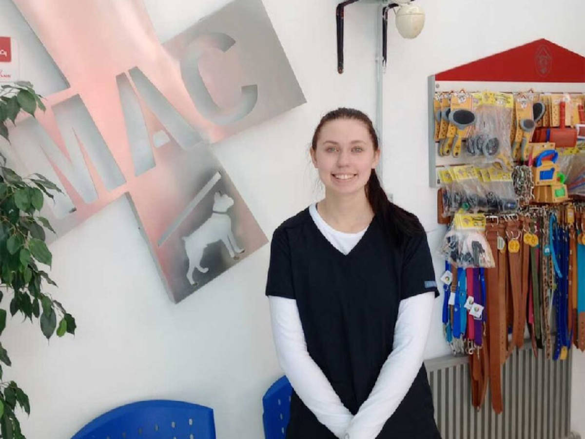volunteer at a veterinary clinic.