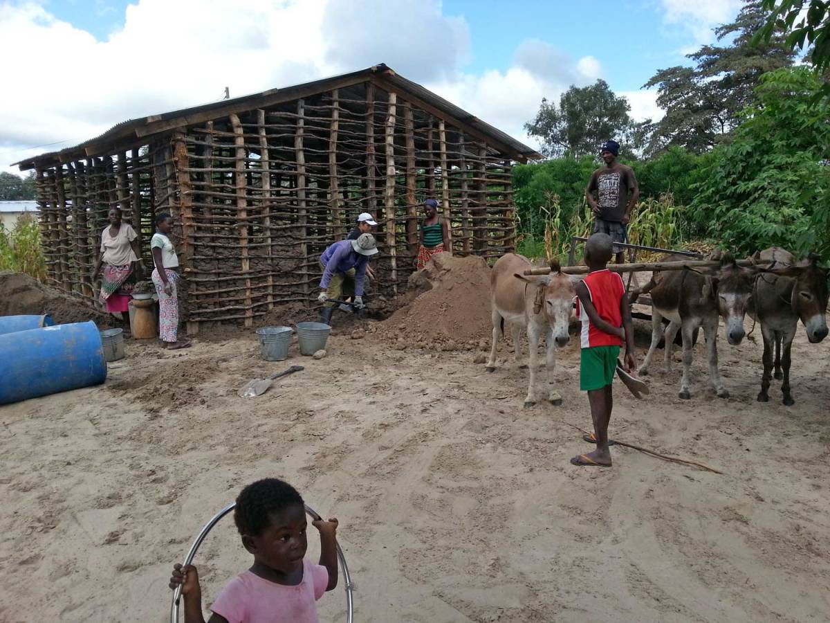 Volunteer Building Homes