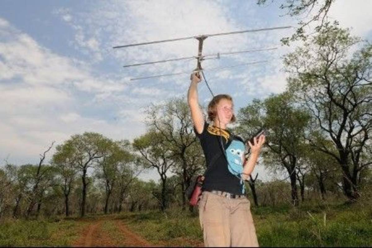 Volunteer Conservation and Ecology Internship in Swaziland