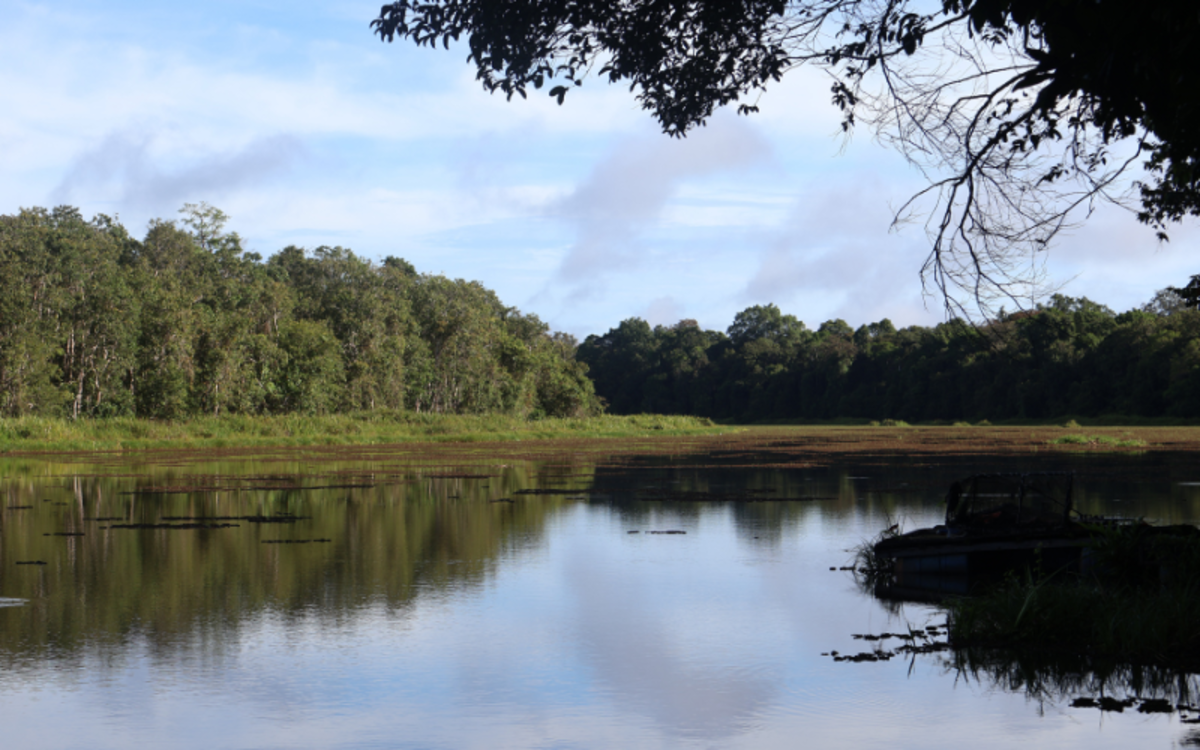 Volunteer in Borneo - river view