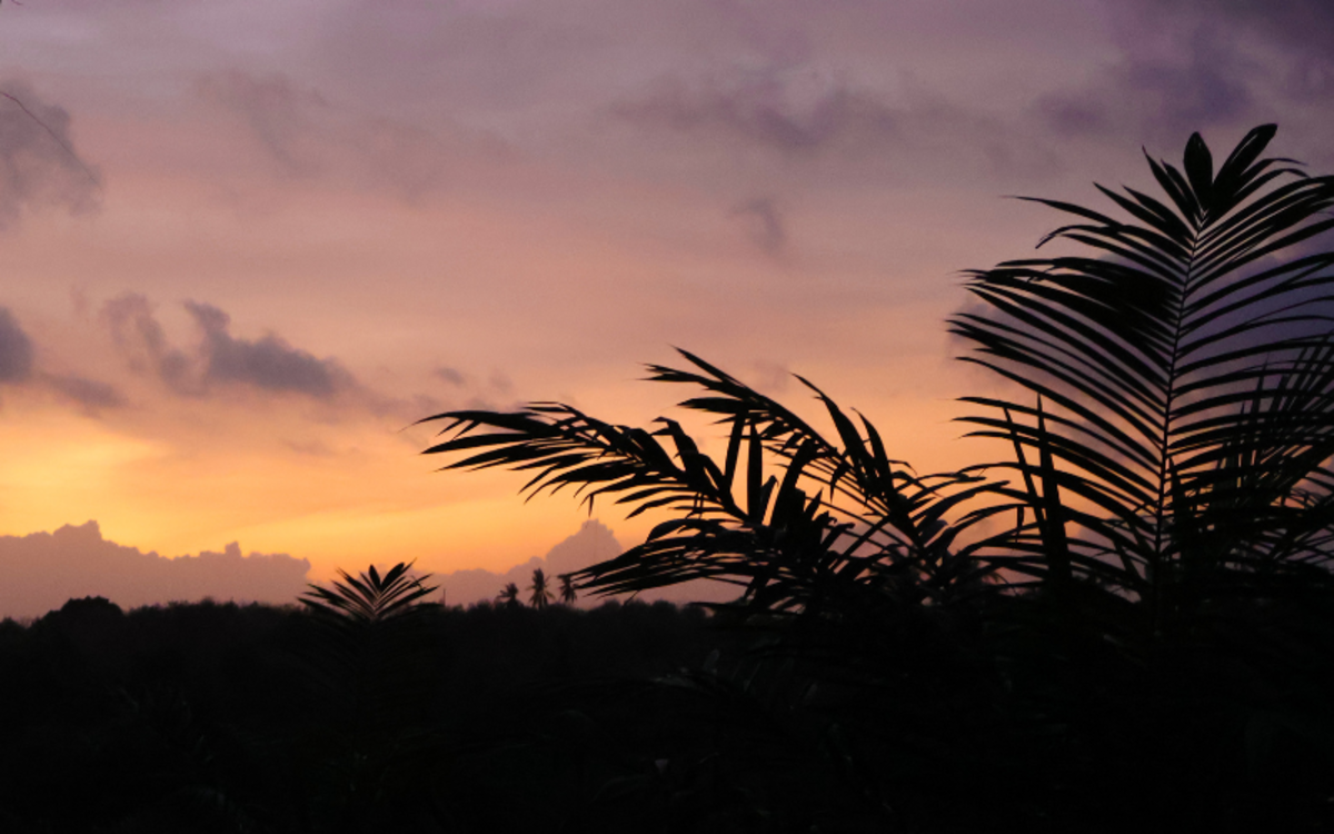 Volunteer in Borneo - sunset at Borneo
