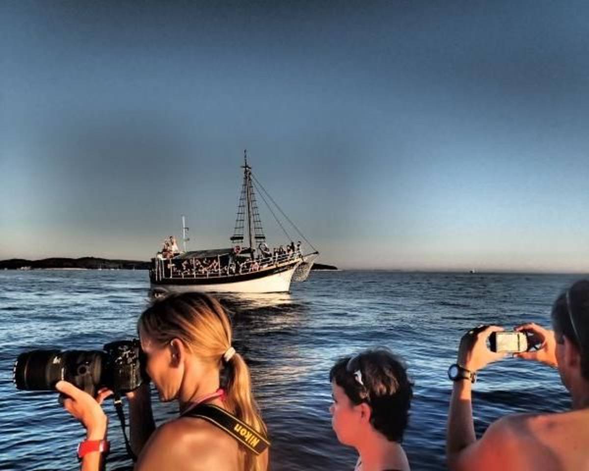 GoEco Croatia - Bottlenose Dolphin Conservation