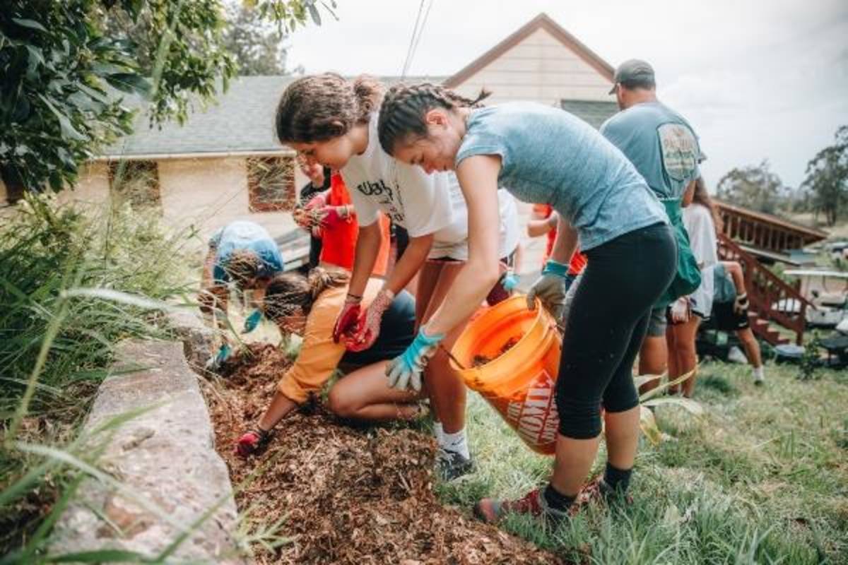 Volunteer in Hawaii
