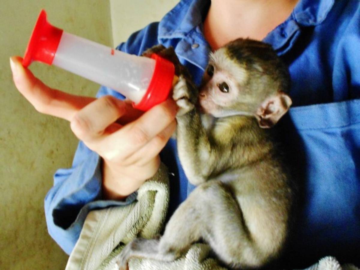 Wildlife Rescue Center