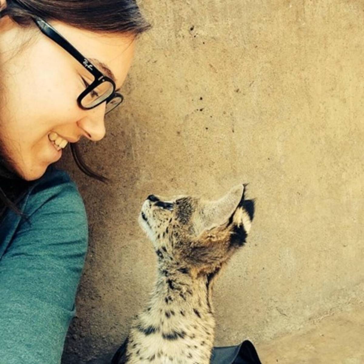 volunteer in lilongwe wildlife center
