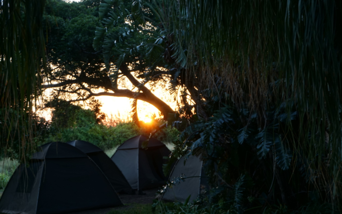 Volunteer in South Africa - Expeditions With Purpose
