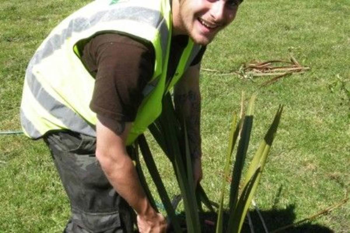 Volunteer planting