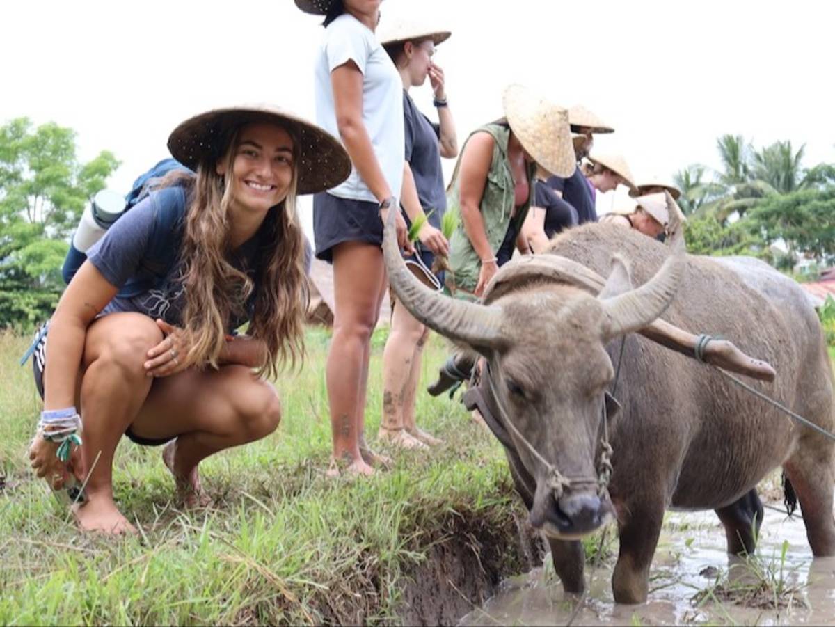 Volunteer with ox in local village community in Laos