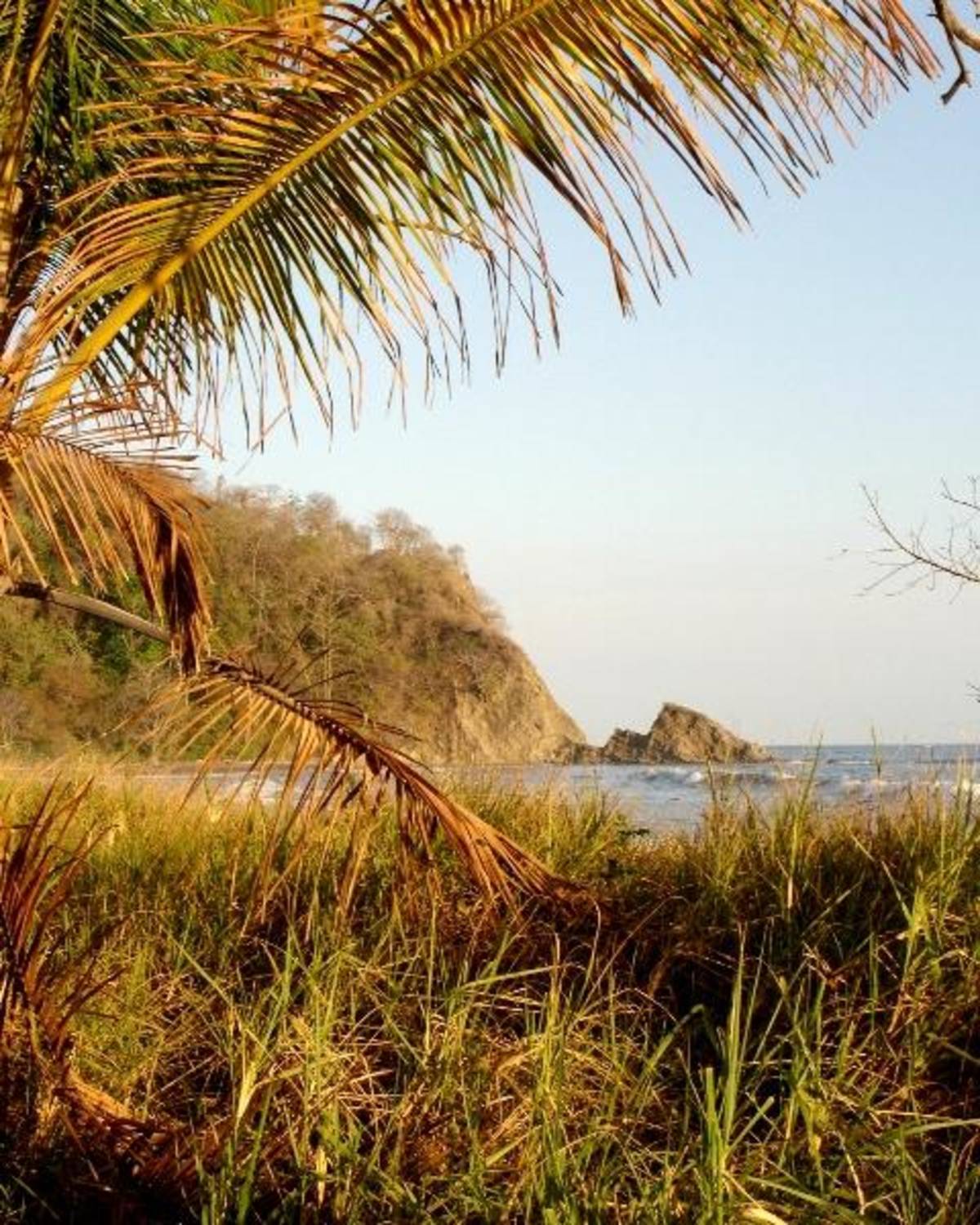 Volunteer in Costa Rica 