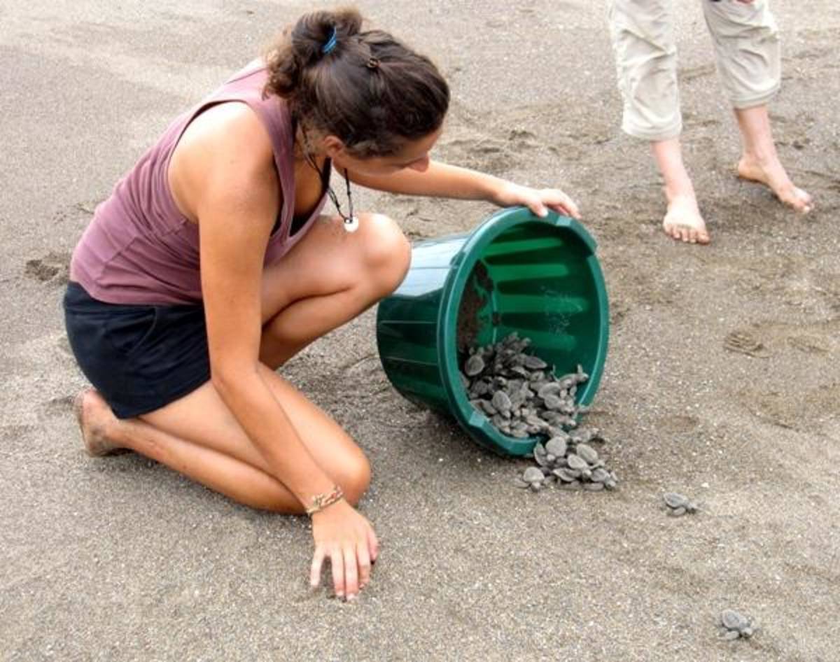Volunteer in Costa Rica 