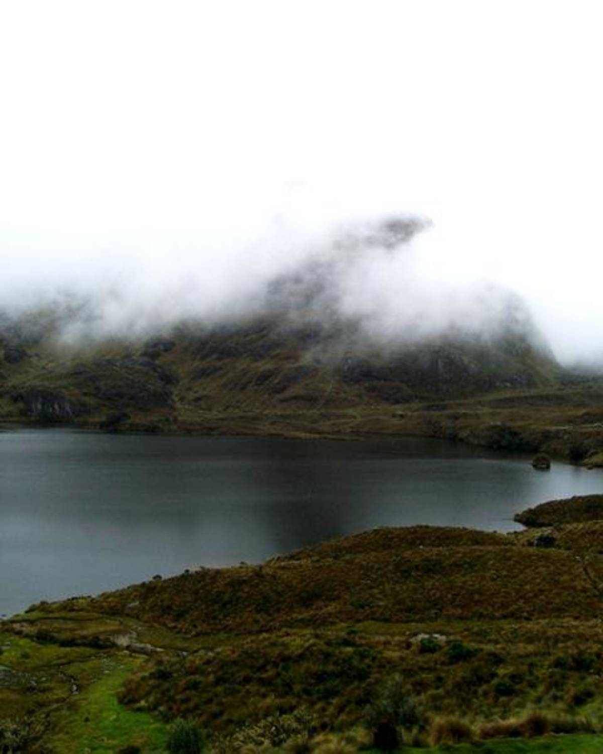 Volunteer in Quito 