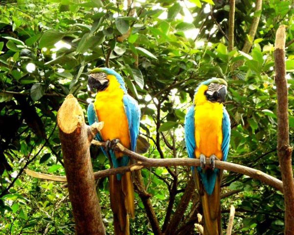 Volunteer in Quito 