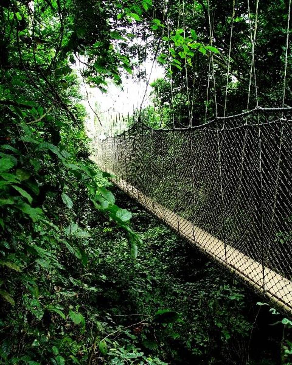 Volunteer in Ghana 