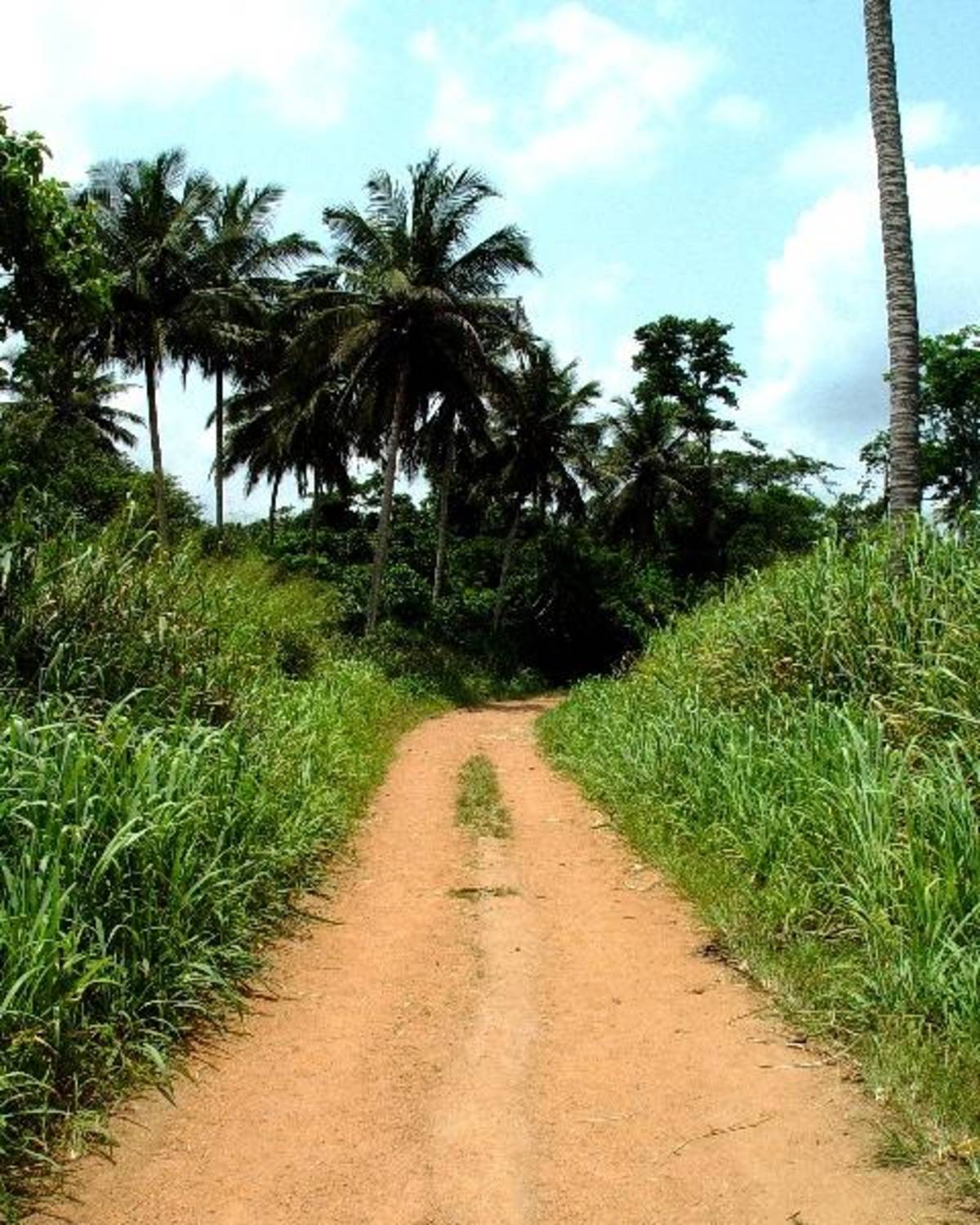 Volunteer in Ghana 