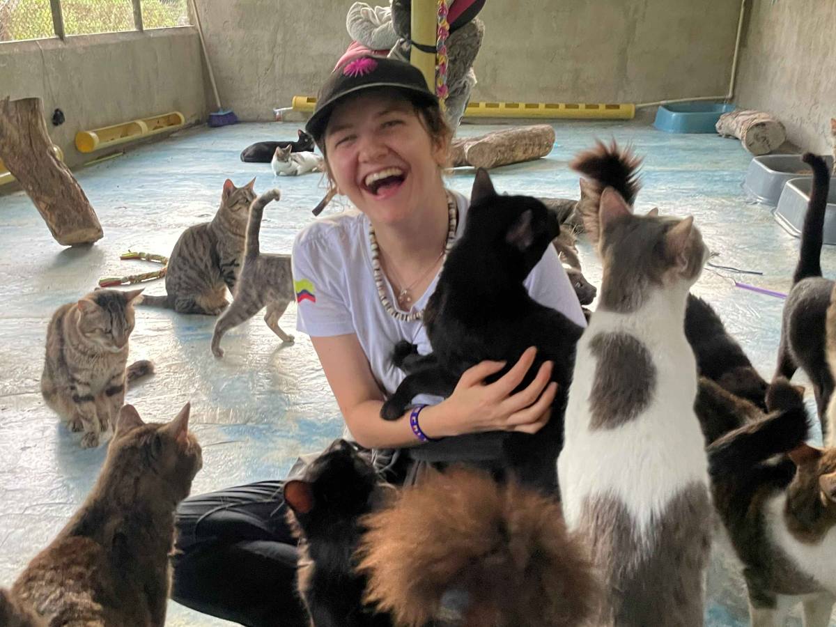 Volunteering with Cats in Bucaramanga Colombia