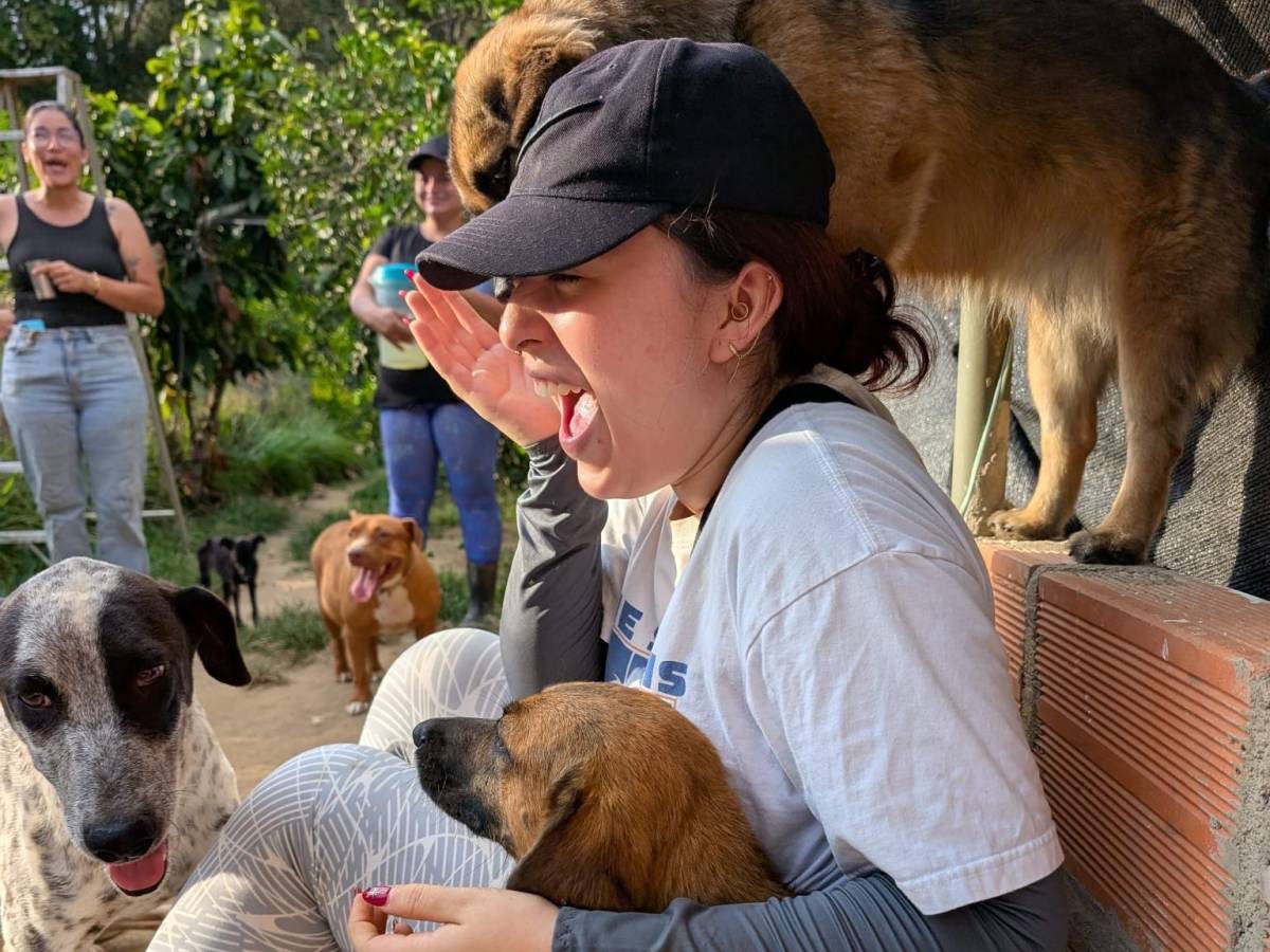Volunteering with Dogs in Bucaramanga Colombia