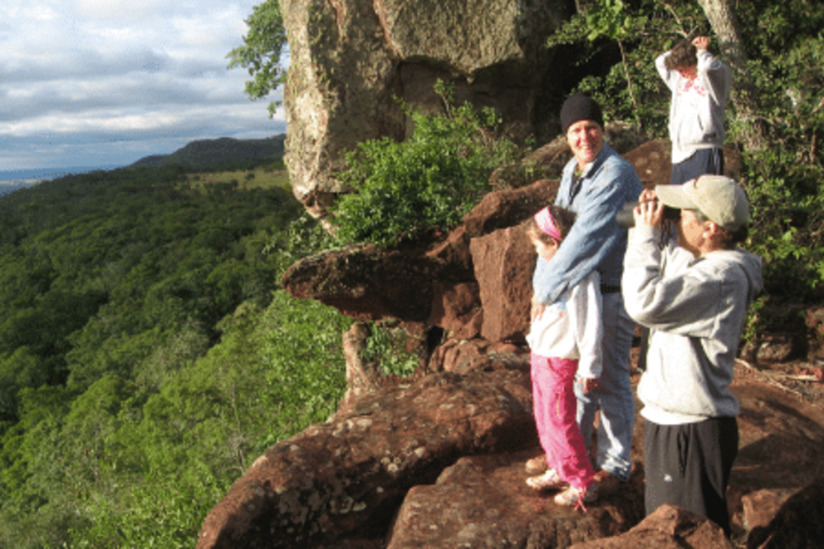 Volunteers admiring the view