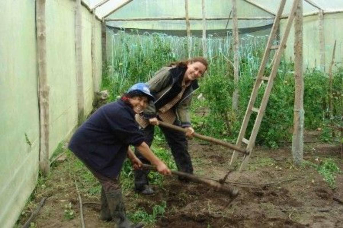 Volunteers digging the soil
