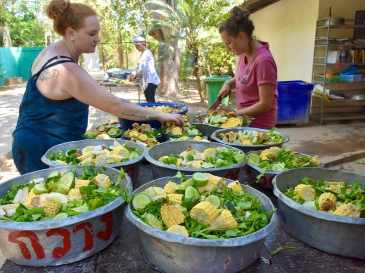 Volunteers preparing animal food