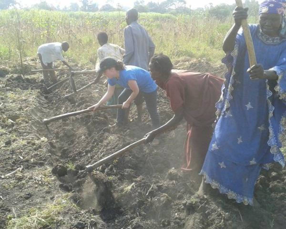 Volunteer on an organic farm in Uganda, Africa