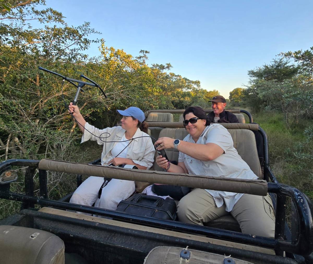 Volunteers working together in a vehicle, using telemetry to collect data for conservation