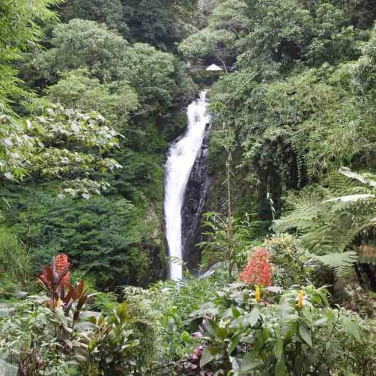 Lovina Waterfall