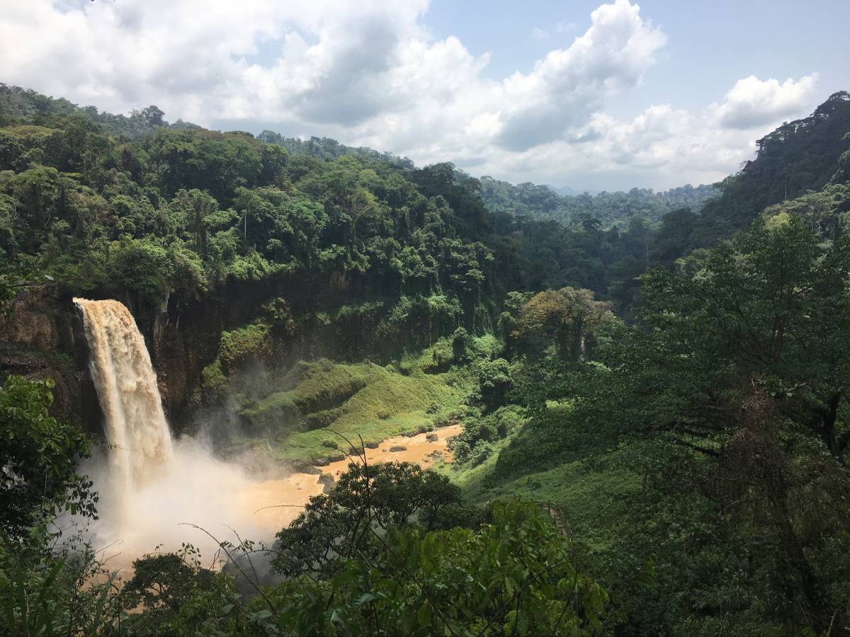 Waterfall in a jungle
