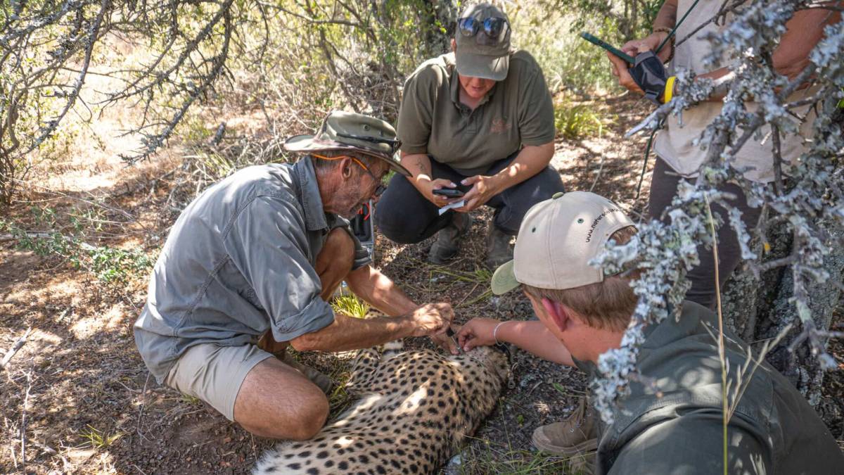 Wildlife Conservation