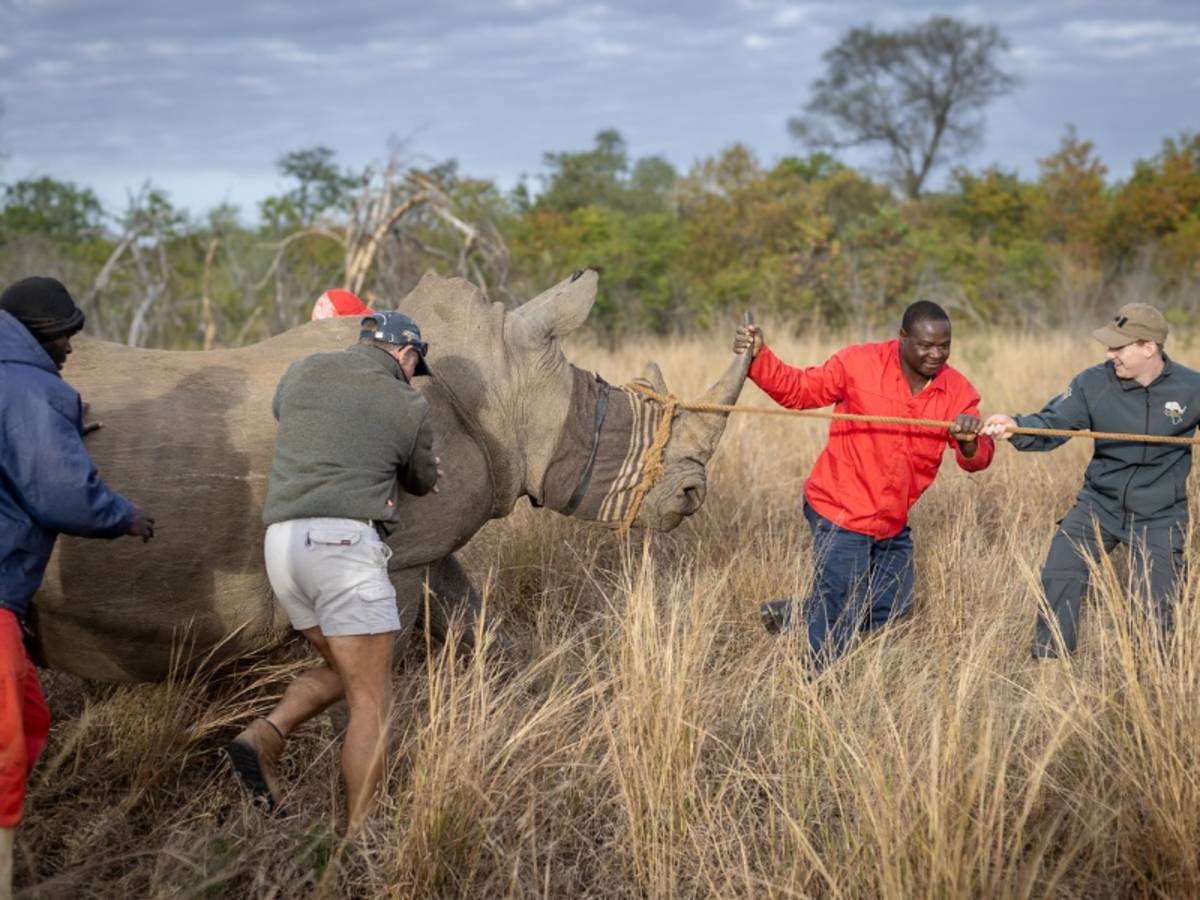 Wildlife Photography and Conservation Volunteer Project