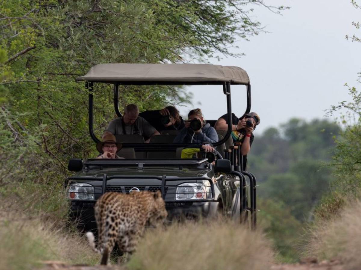 Wildlife Photography Volunteer