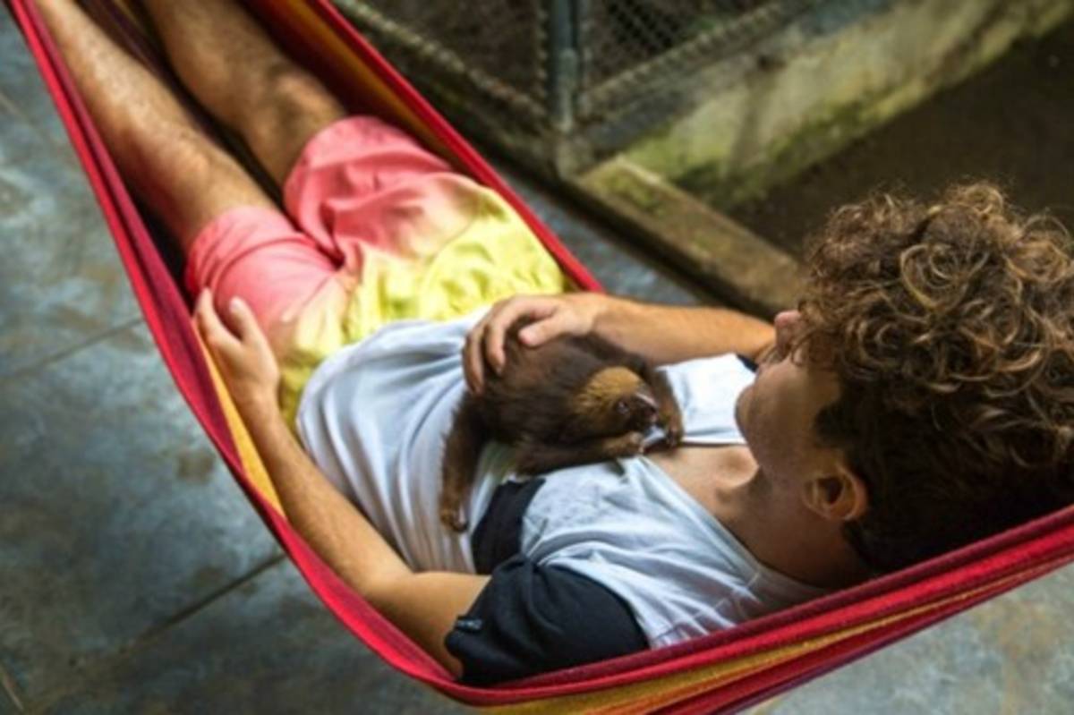 wildlife volunteering