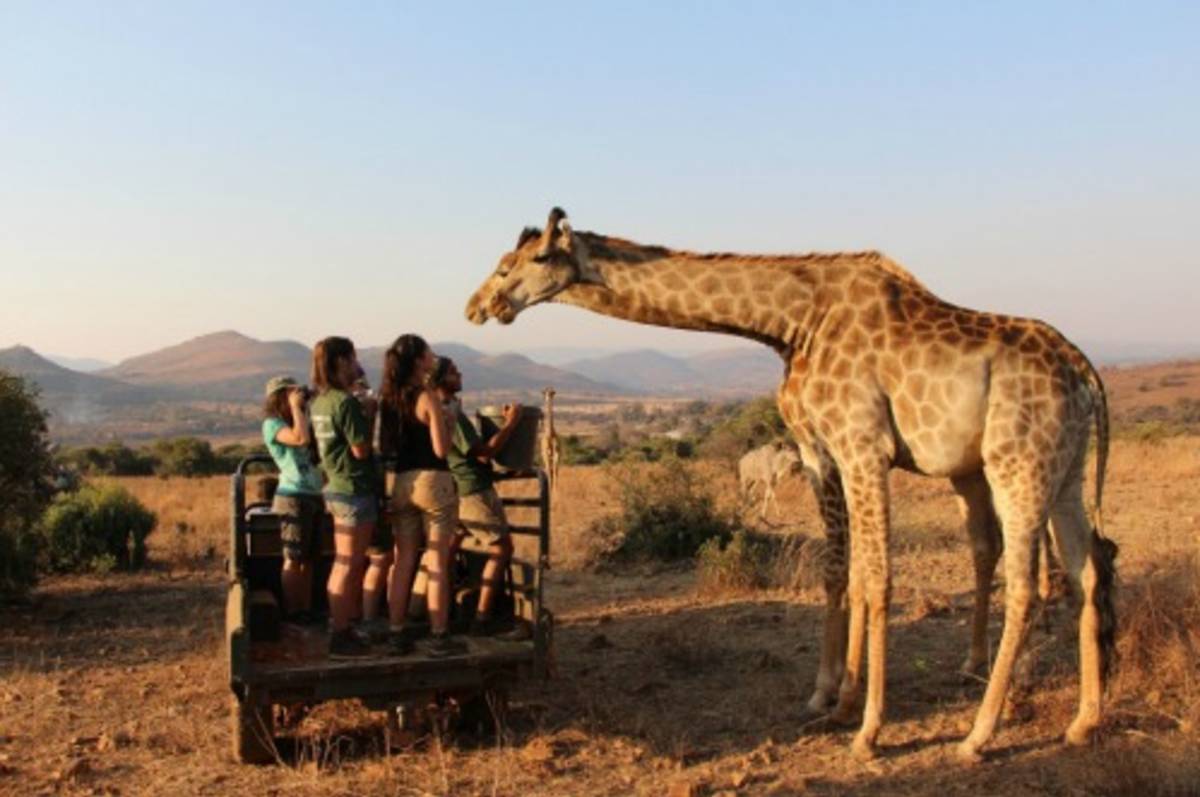 wildlife volunteering