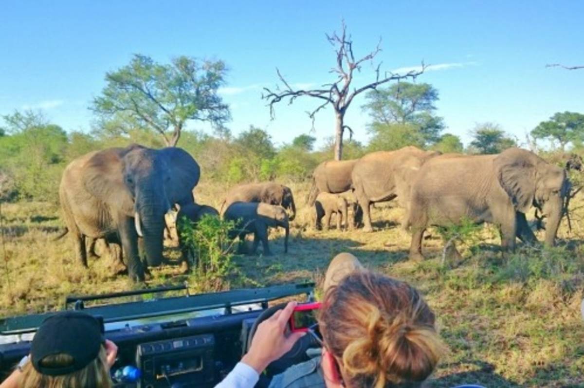 wildlife volunteering