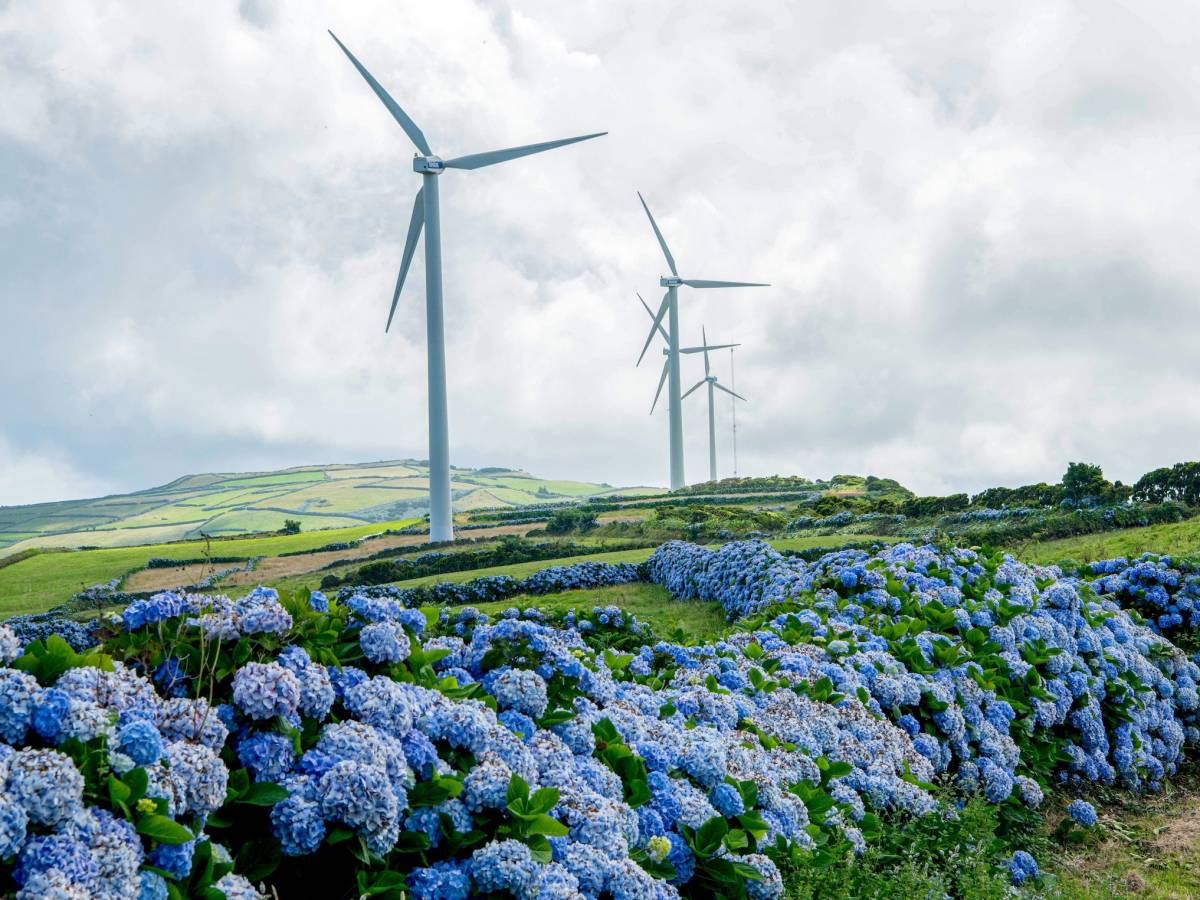 Wind turbines in Portugal